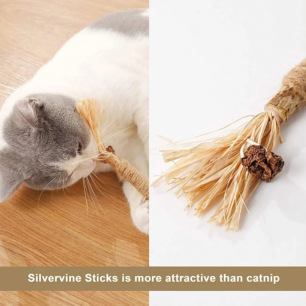 4Pcs Cat Chew Sticks,Catnip Stick,Catnip Sticks,Cat Grass Stick,Molar Cat Interactive Stick,Catnip Toys Sticks,Cat Toy Stick,Cat Stick
