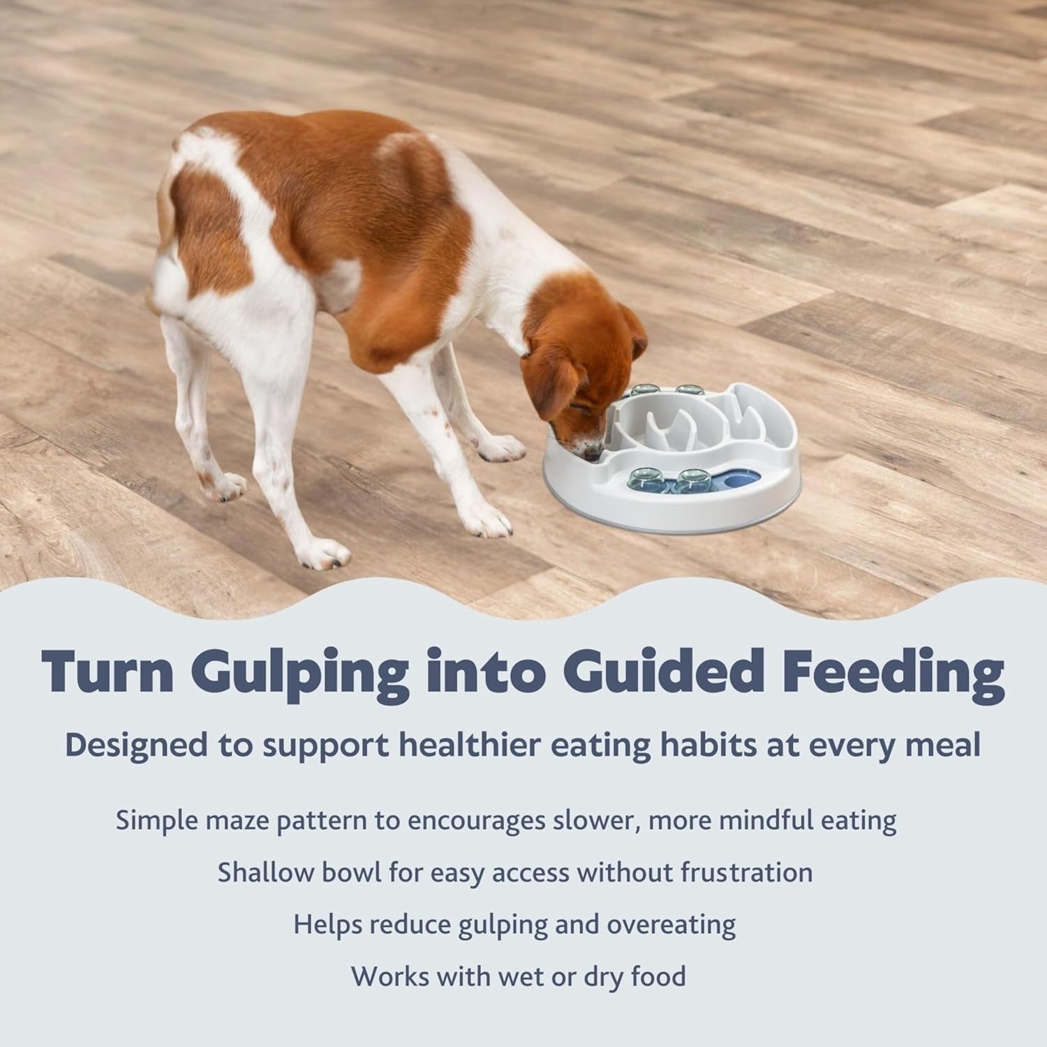 Slide & Feed Dog Activity Interactive Toy, Level 1 Food Puzzle Game, Brain Teasing Treat Dispenser, IQ and Mental Development Toy for Smart Dogs, Enrichment Toy for Boredom Busting