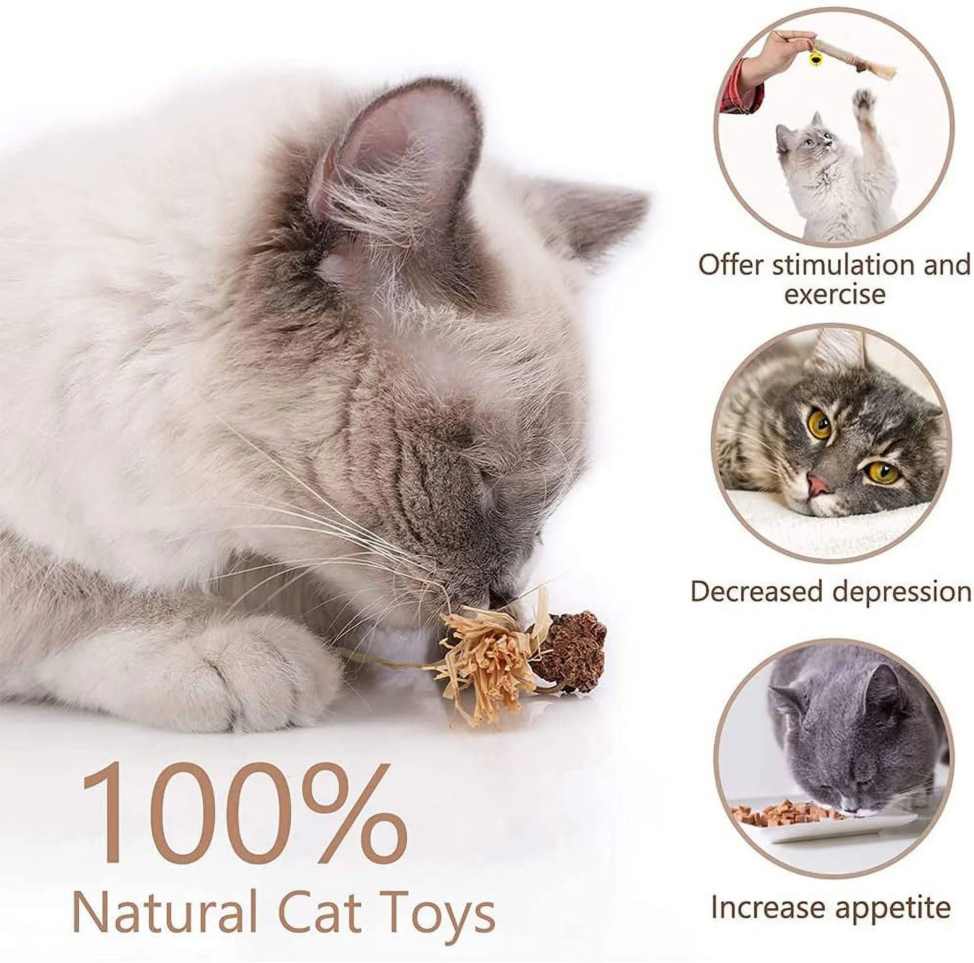 4Pcs Cat Chew Sticks,Catnip Stick,Catnip Sticks,Cat Grass Stick,Molar Cat Interactive Stick,Catnip Toys Sticks,Cat Toy Stick,Cat Stick