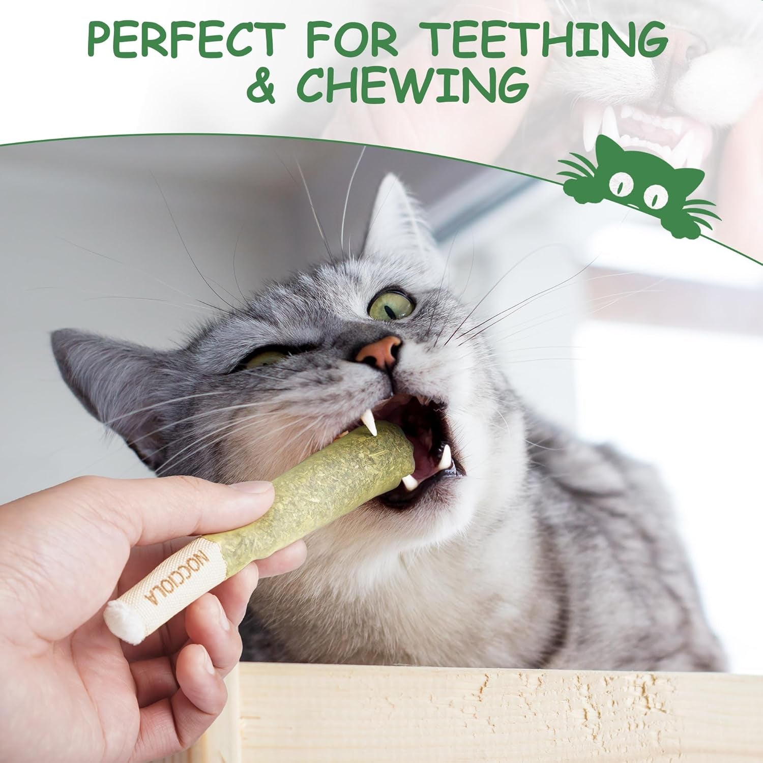 3 Pack Catnip Toys for Cats, Funny Cat Toys Filled with 100% Pure Organic Catnip
